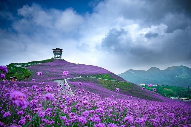 severní guizhou huahai