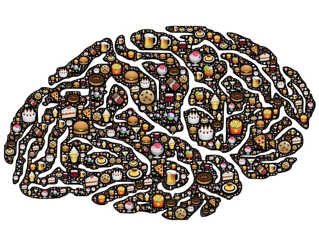 Mozek plný nezdravého jídla.jpg