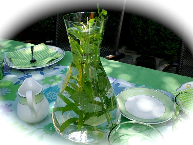 karafa s vodou naplněná bylinkami.jpg